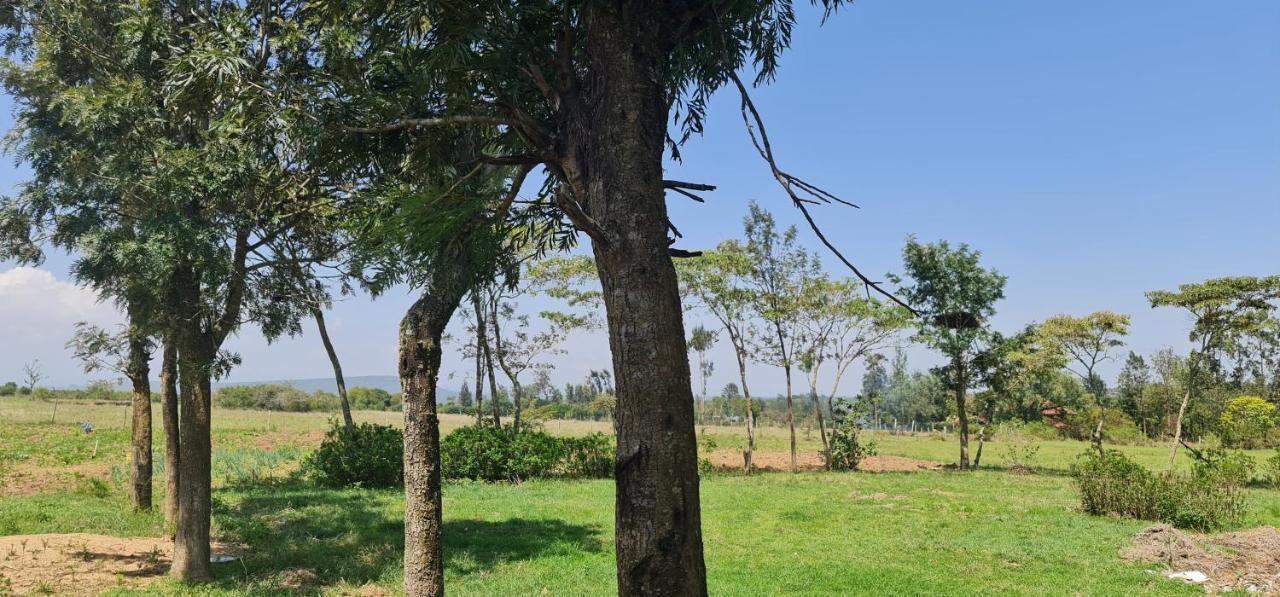 Le Tai Village Resort Near Solio Game Reserve Mweiga Exteriör bild